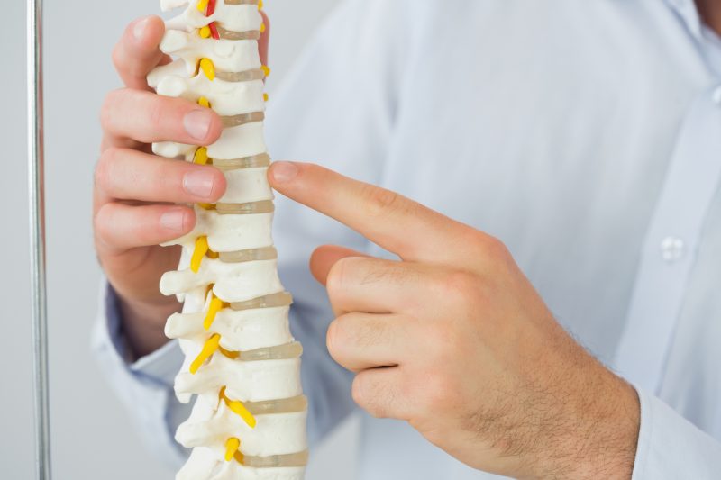 Close up of male doctors hand pointing at skeleton model