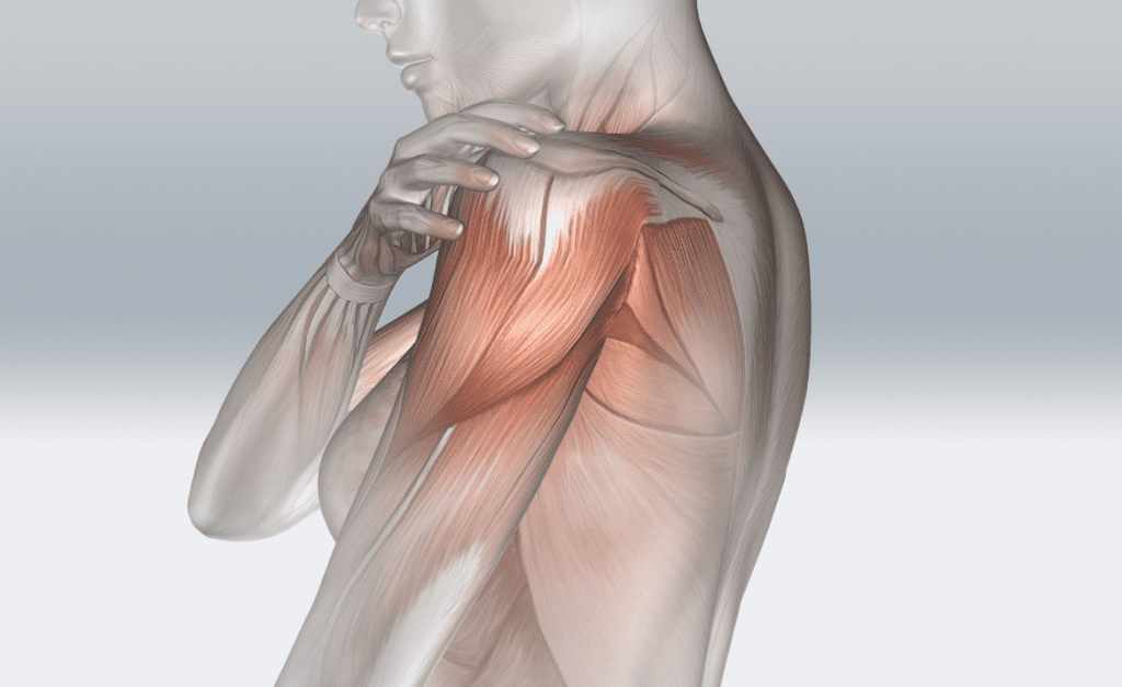 Frozen Shoulder: Understanding the Condition and the Benefits of Chiropractic Care 1