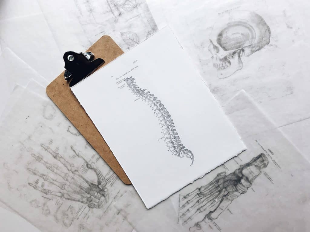 Discover How Chiropractic Can Help Ease Scoliosis Pain 3 Scoliosis Pain
